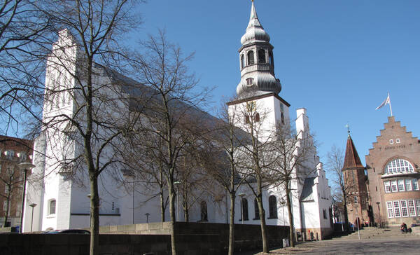 Domkerk, Aalborg