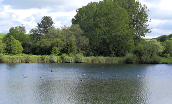 Langford Lakes Nature Reserve