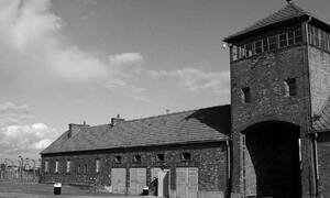 Auschwitz, Memorial en Museum