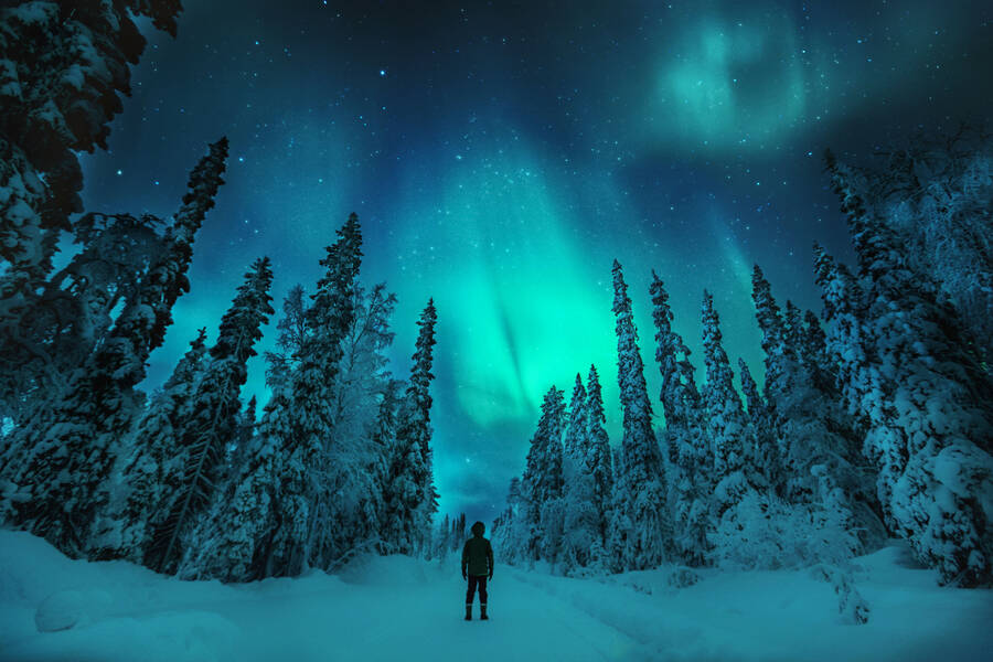 Noorderlicht Lapland