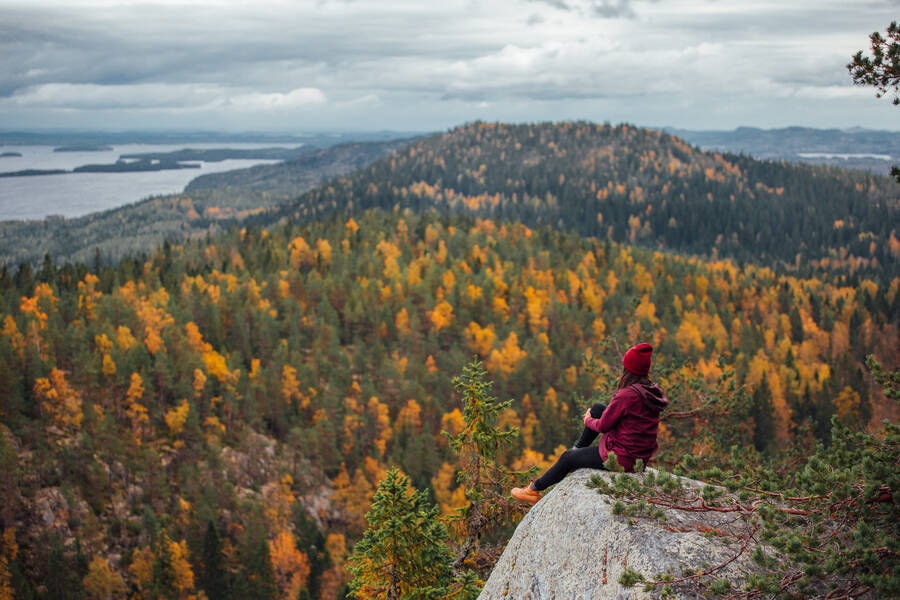 Nationaal Park Koli, Finland
