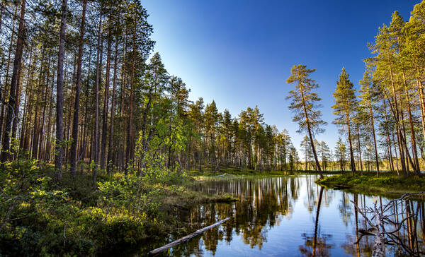 Hossa Nationaal Park, Oulu