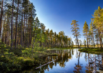 Hossa Nationaal Park, Oulu