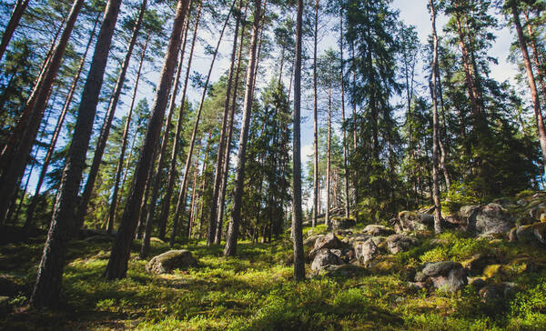 Nationaal Park Syöte, Oulu