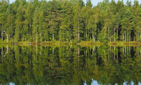 Nationaal Park Syöte, Oulu