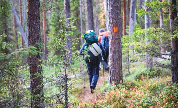 Wandelen in het Helvetinjärvi Nationaal Park