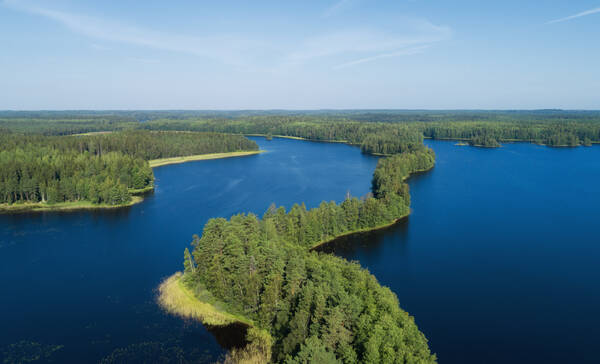 Elbow Ridge, Liesjärvi Nationaal Park