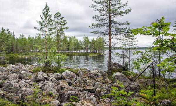 Nationaal Park Salamajärvi, West-Finland