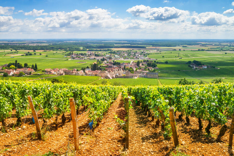 Wijnproeven Beaune, Bourgogne