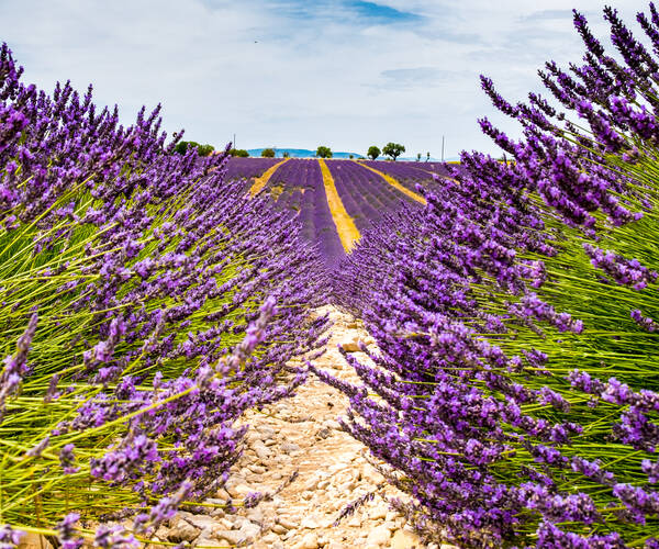 Reisinfo Provence, Frankrijk