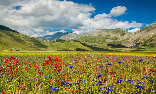 Nationaal Park Abruzzo