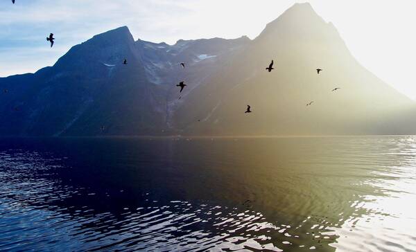 Hjorundfjorden Noorwegen