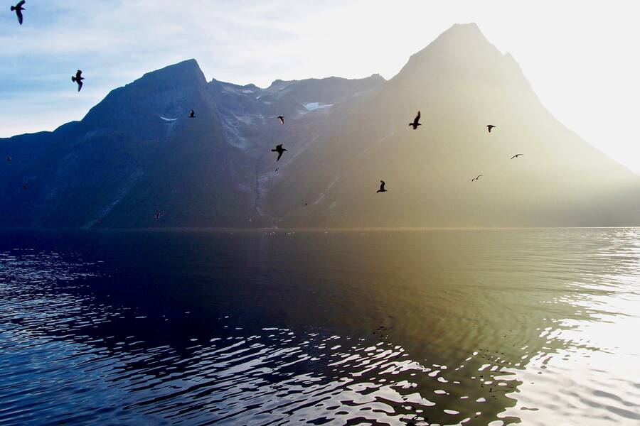 Hjorundfjorden Noorwegen