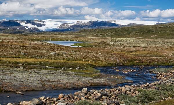 Nationaal Park Hardangervidda, Rauland