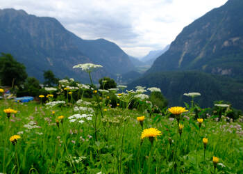 Natuurpark Ötztal, Tirol