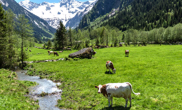 Natuurpark Zillertaler Alpen