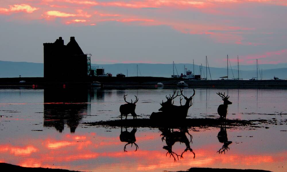 Isle of Arran, Schotland