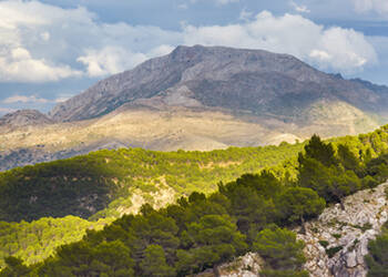 Nationaal Park Sierra de las Nieves Spanje