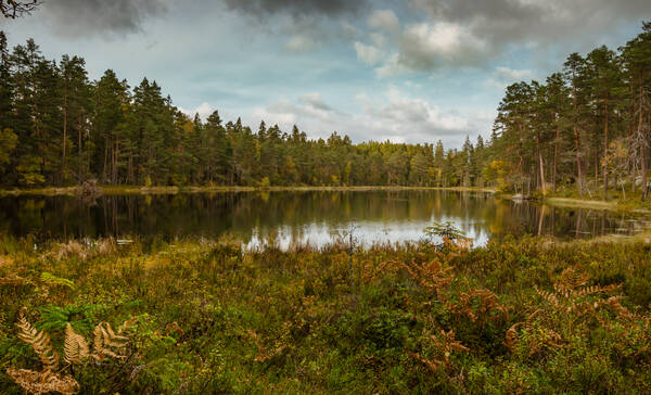 Norra Kvill Nationaal Park Zweden
