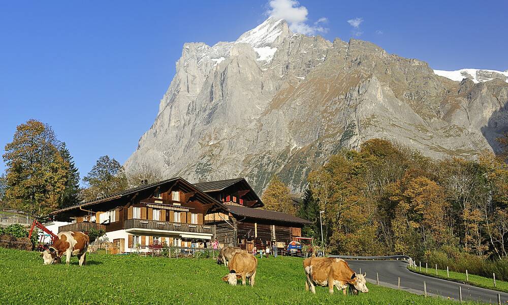 Grindelwald, Zwitserland