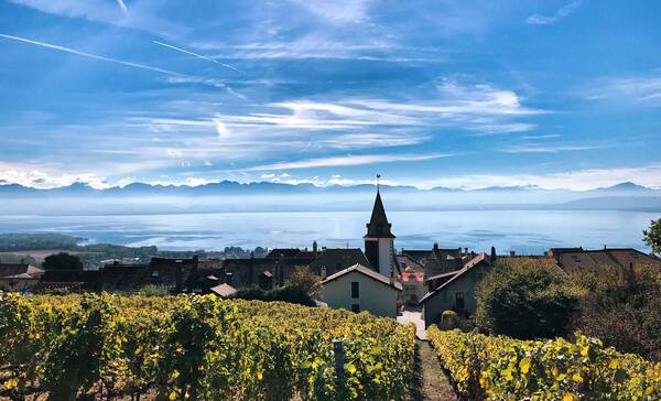 Lavaux wijngaarden Meer van Geneve